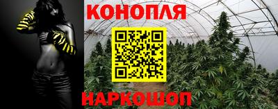 прущие крисы Апшеронск